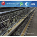 H Type Poultry Equipment for Broilers